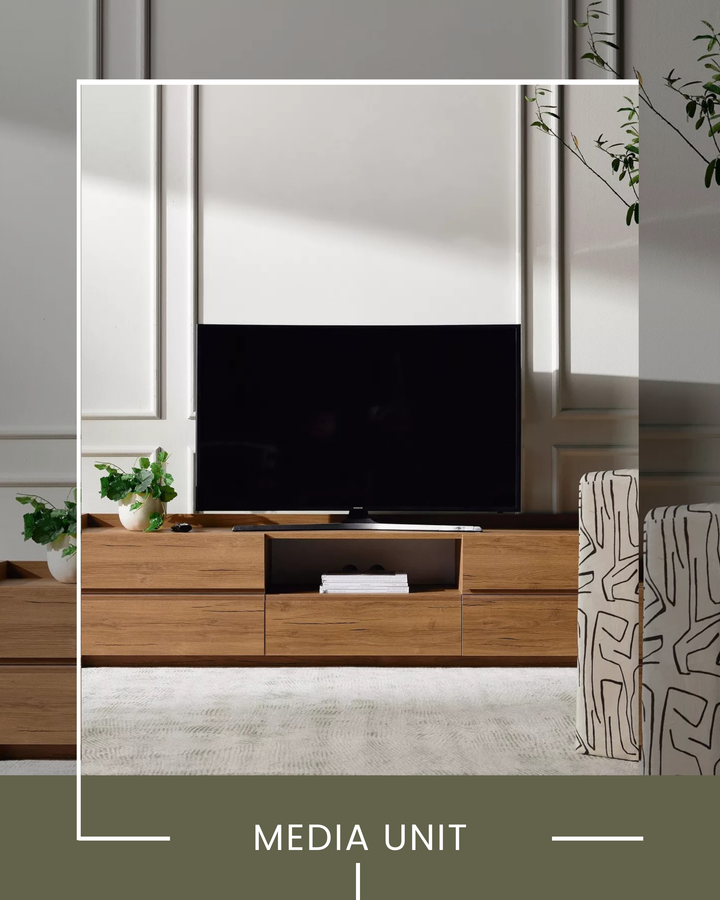 Media Unit